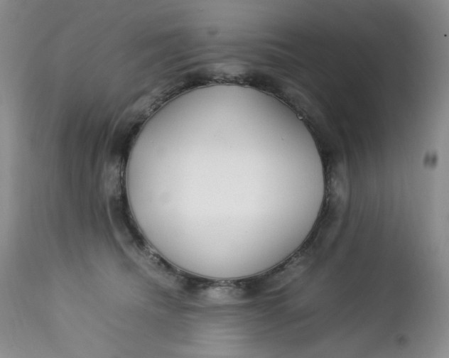 X0000112750468200909101544