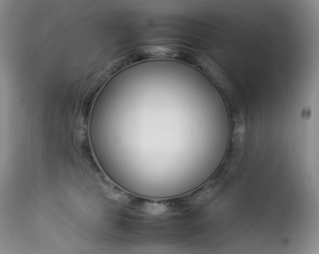 X0000112750469200909101544