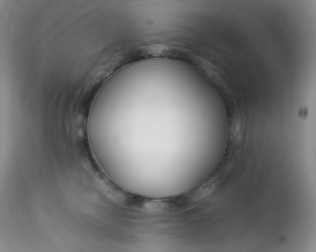 X0000112750470200909101544