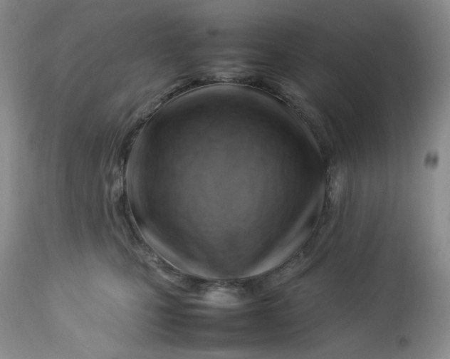 X0000112750471200909101544