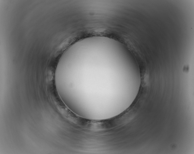 X0000112750472200909101544