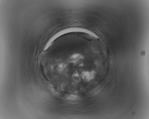 X0000112750475200909101544