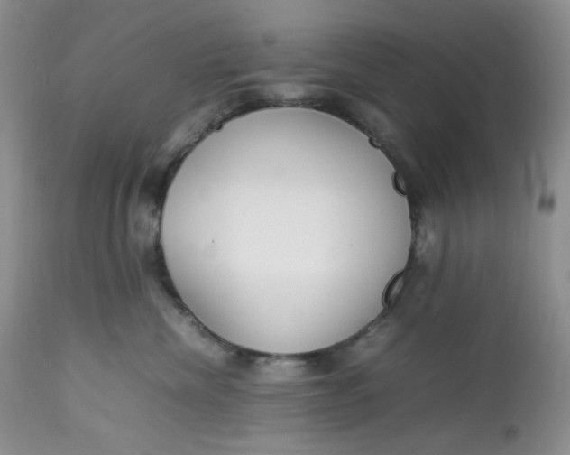 X0000112750476200909101544