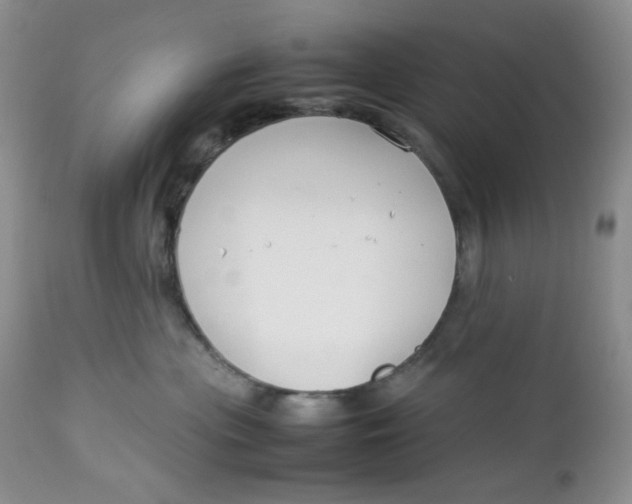 X0000112750477200909101544