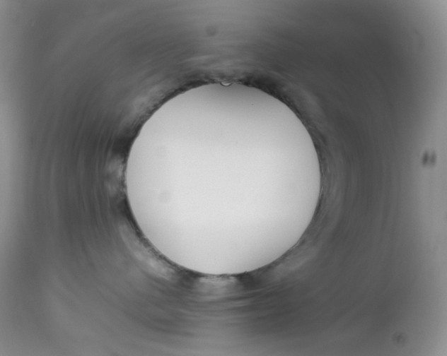 X0000112750480200909101544