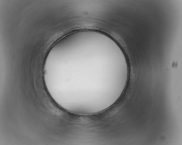 X0000112750481200909101544