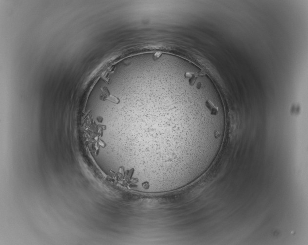 X0000112750482200909101544