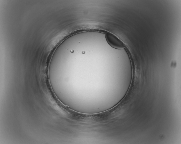 X0000112750485200909101544