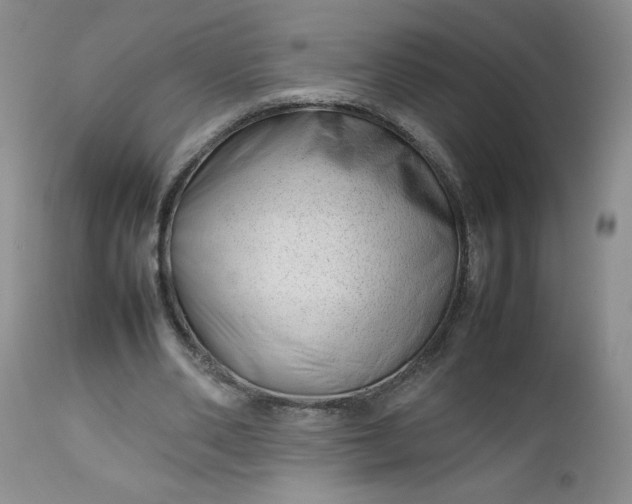 X0000112750486200909101543