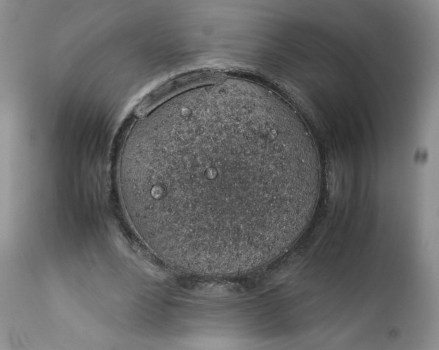 X0000112750488200909101543