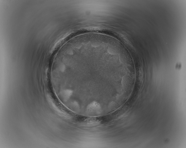 X0000112750491200909101543