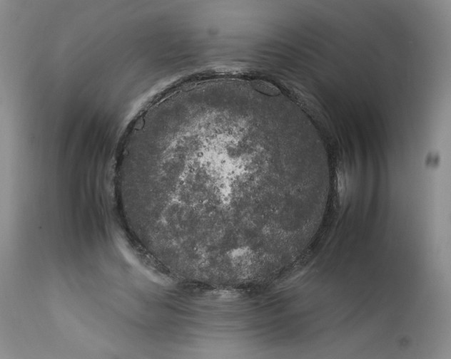 X0000112750492200909101543