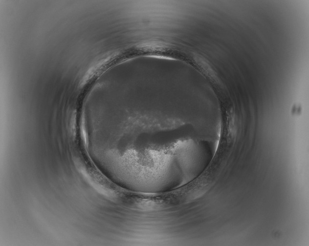 X0000112750494200909101543