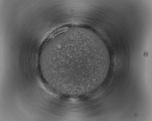 X0000112750496200909101543