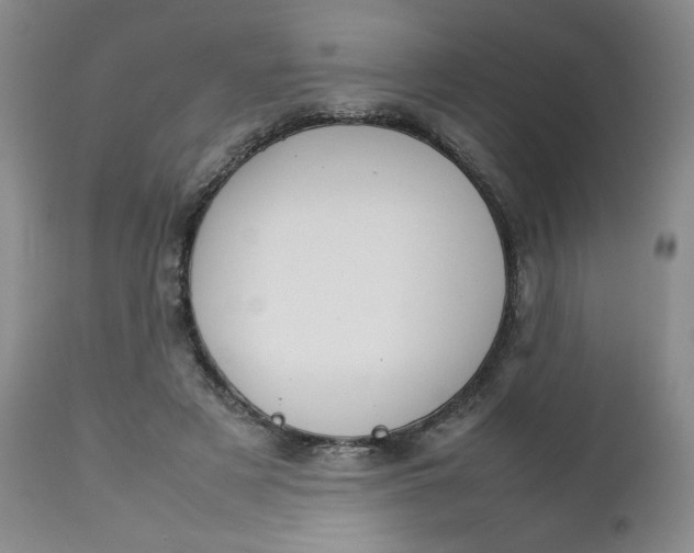 X0000112750497200909101543