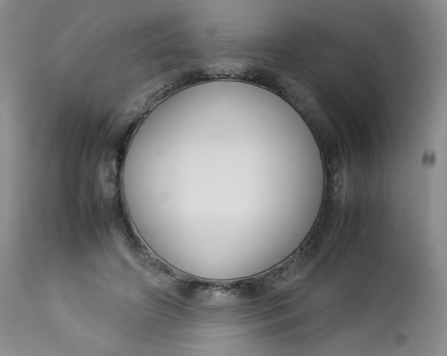 X0000112750498200909101543