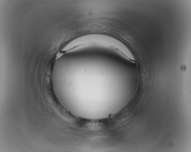 X0000112750499200909101543