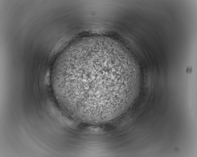 X0000112750502200909101543