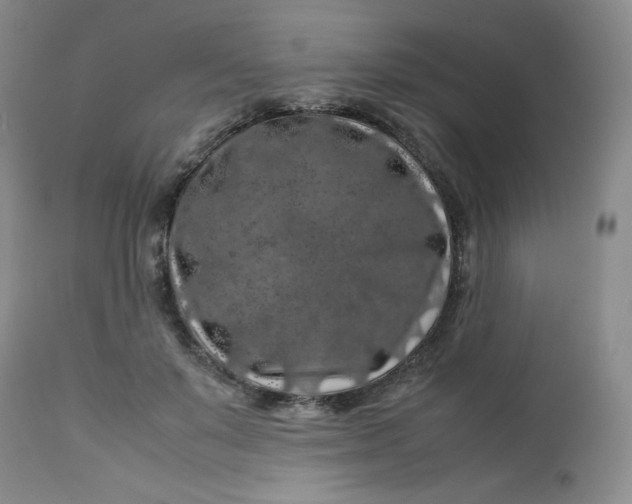 X0000112750503200909101543