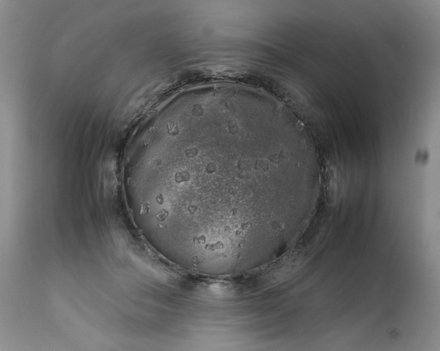 X0000112750506200909101543