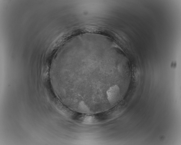 X0000112750507200909101543