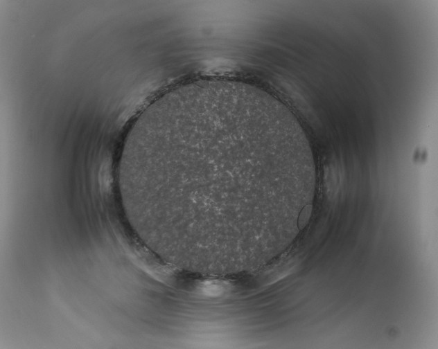 X0000112750508200909101543