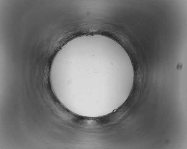 X0000112750509200909101543