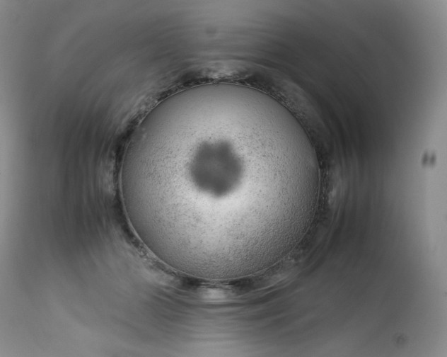 X0000112750510200909101543