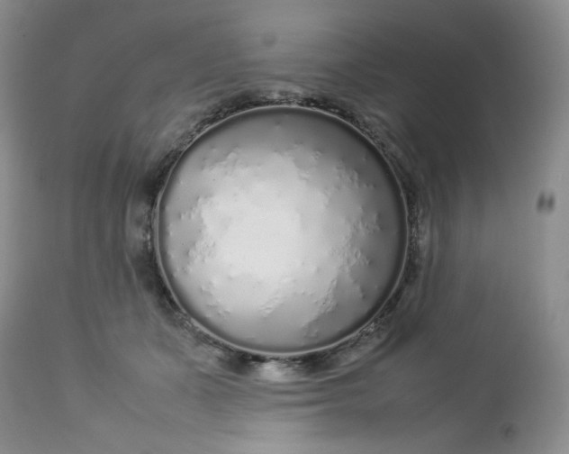 X0000112750511200909101543