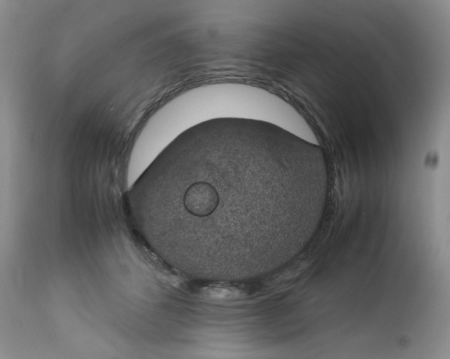 X0000112750512200909101543