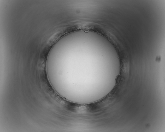 X0000112750513200909101543