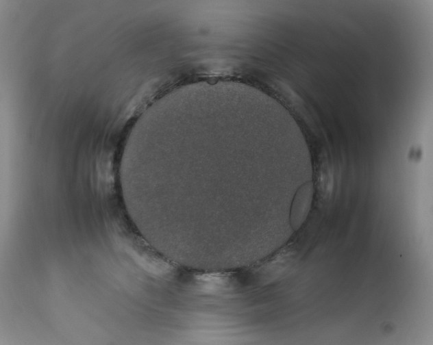 X0000112750516200909101543