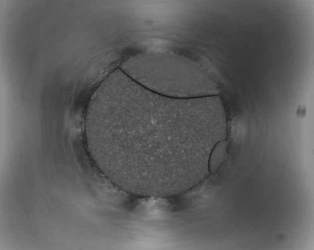 X0000112750517200909101543