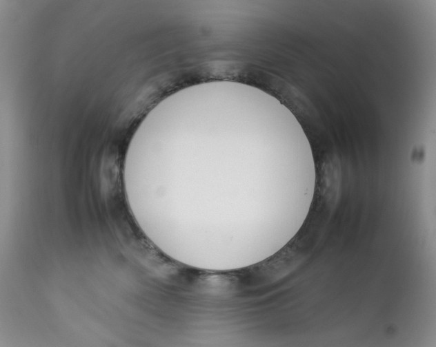 X0000112750522200909101543