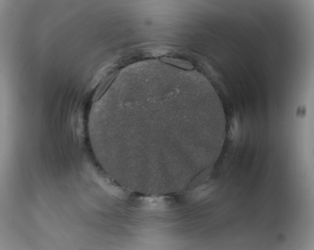 X0000112750524200909101543