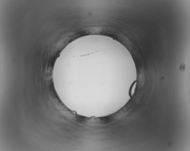 X0000112750525200909101543