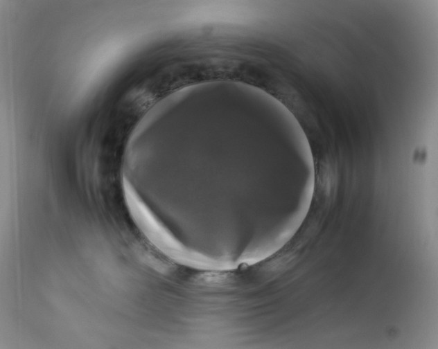 X0000112750526200909101543