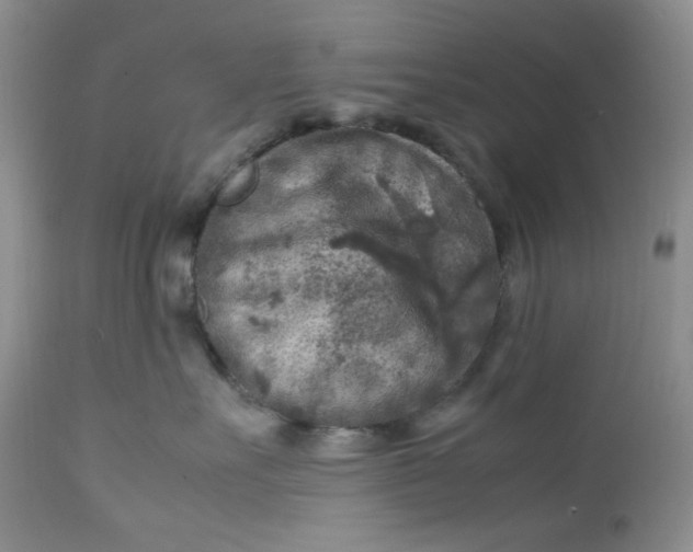 X0000112750527200909101543