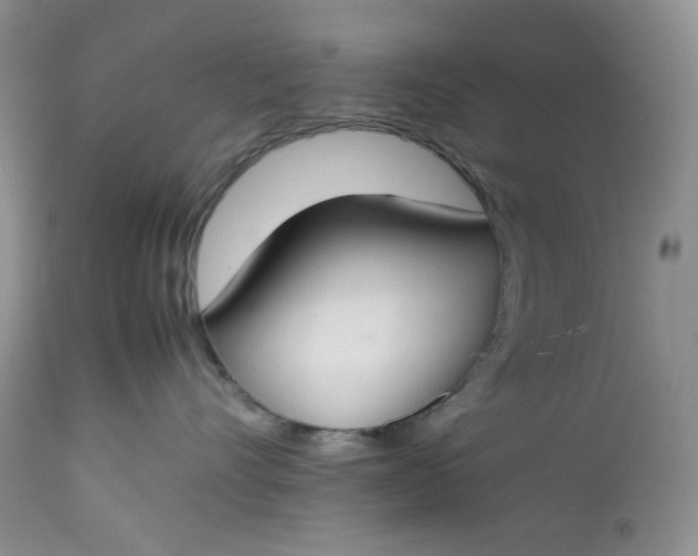 X0000112750528200909101543