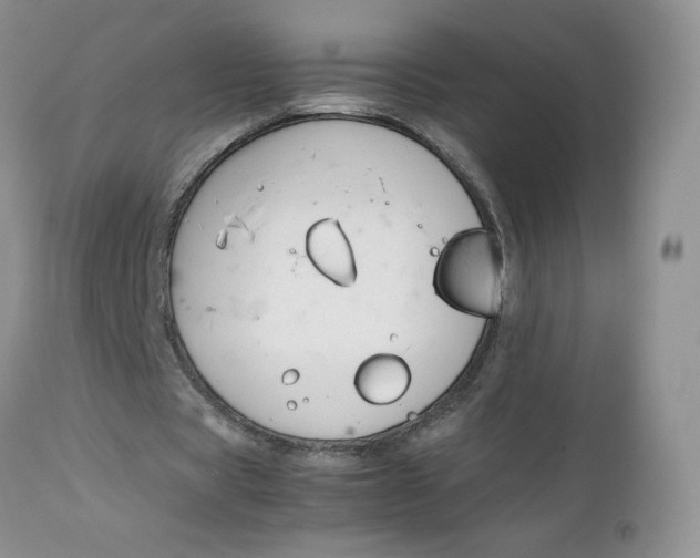 X0000112750529200909101542