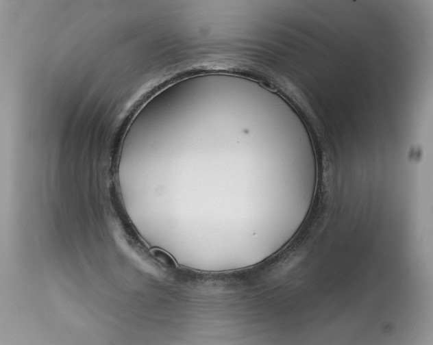 X0000112750530200909101542