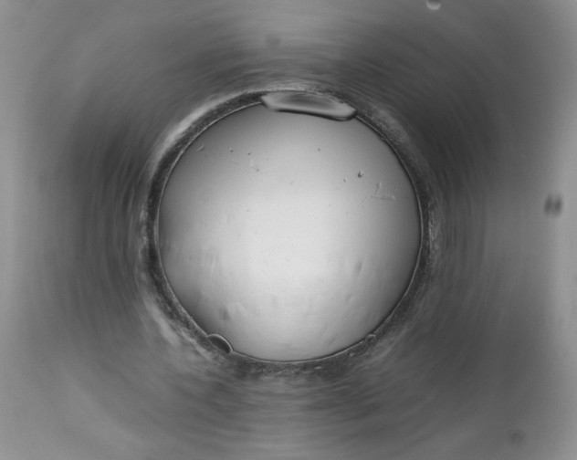 X0000112750532200909101542