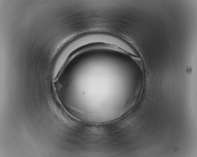 X0000112750535200909101542