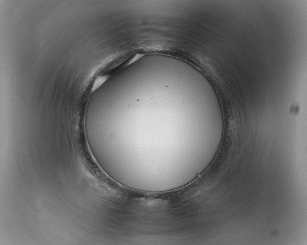 X0000112750539200909101542