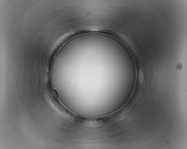 X0000112750540200909101542