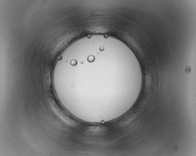 X0000112750541200909101542