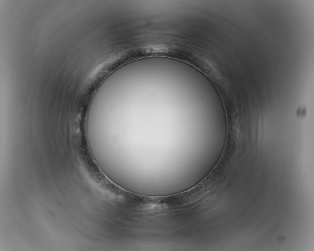 X0000112750543200909101542