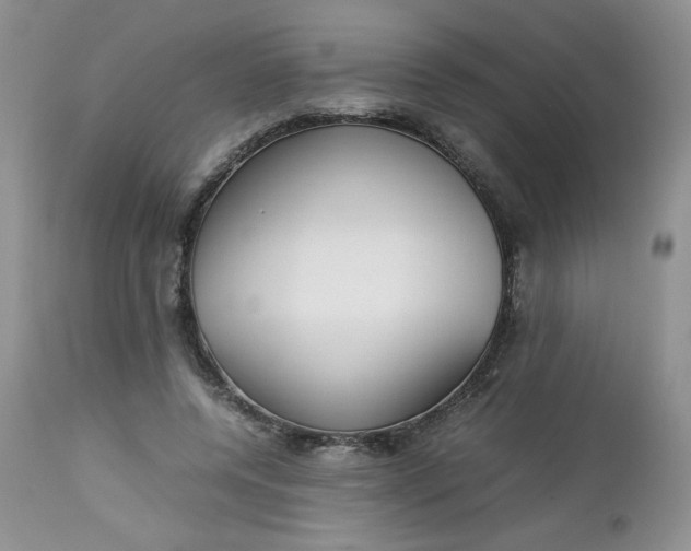 X0000112750544200909101542