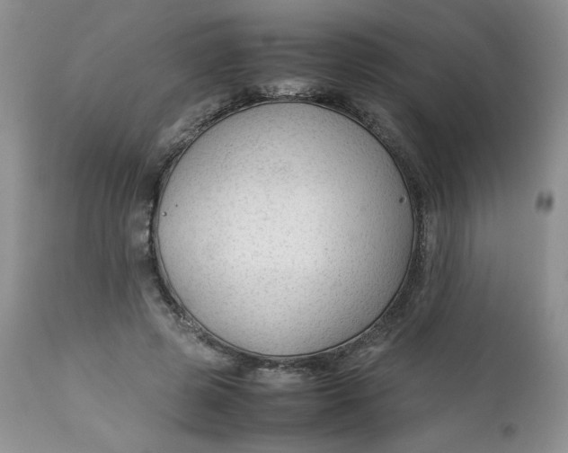 X0000112750545200909101542