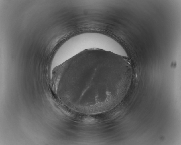 X0000112750547200909101542